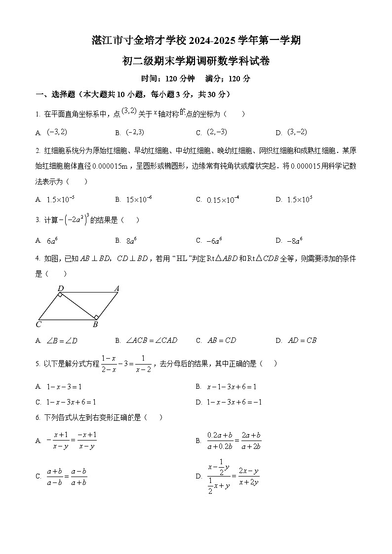 广东省湛江市寸金培才学校2024-2025学年上学期八年级期末学情调研数学试卷 （原卷版+解析版）第1页