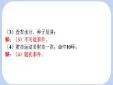 3.1 感受可能性課件-北師大版（2024）數(shù)學七年級下冊
