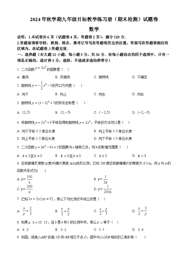 广西梧州市苍梧县2024—2025学年上学期九年级期末数学试卷（原卷版+解析版）第1页