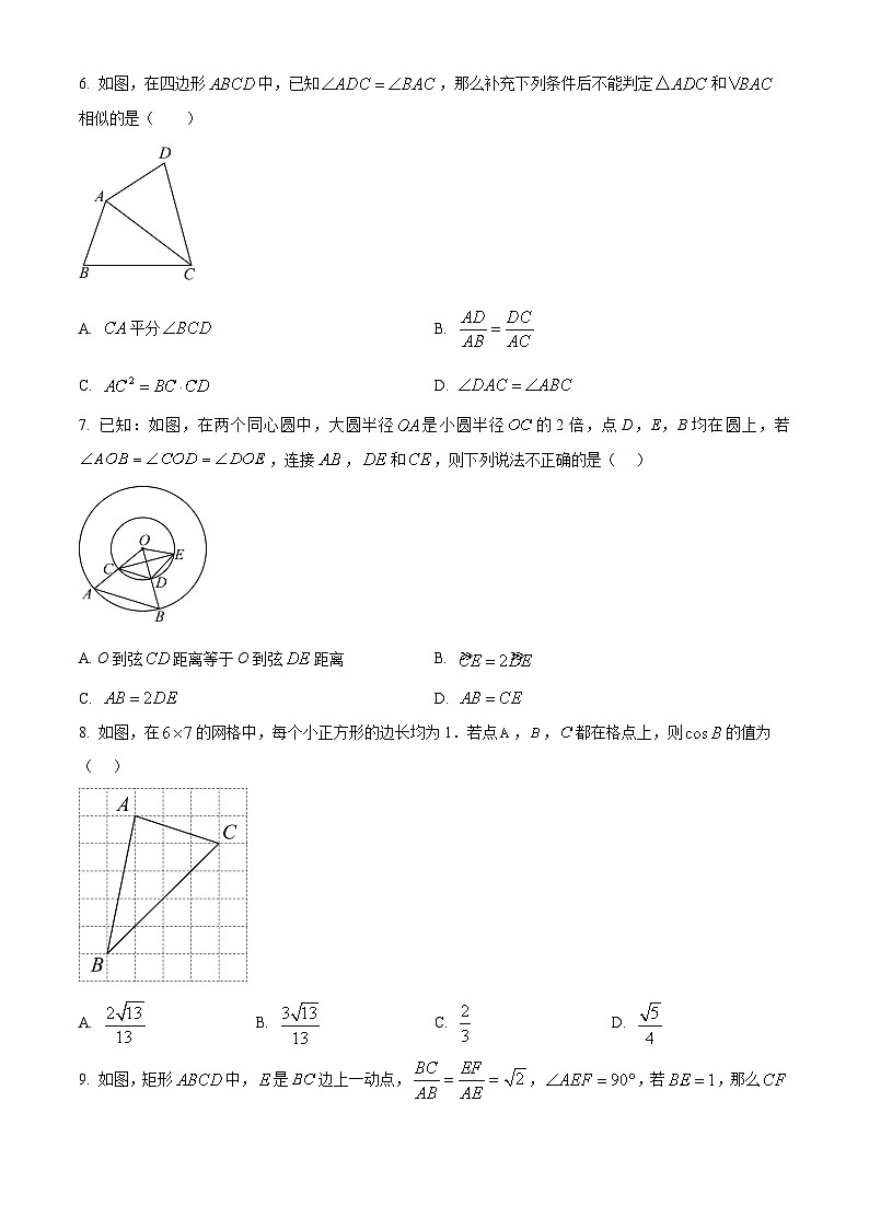 安徽省淮南市寿县四校联考2024-2025学年九年级上学期1月期末数学试题（原卷版+解析版）第2页