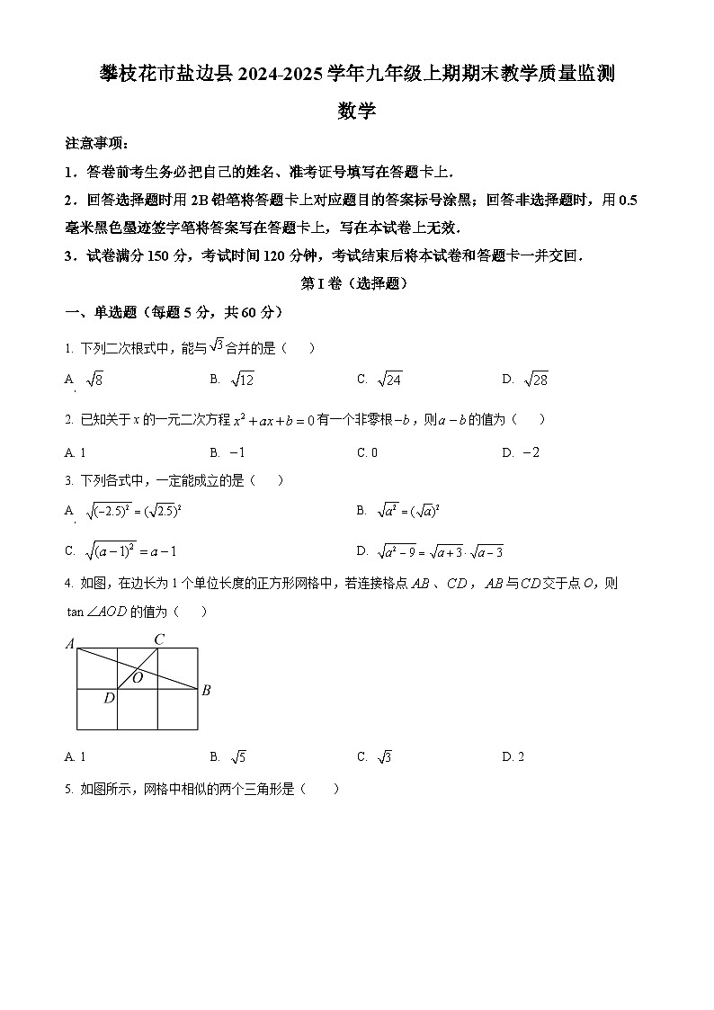 四川省攀枝花市盐边县2024-2025学年九年级上学期1月期末数学试题（原卷版+解析版）第1页