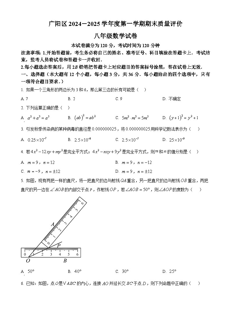 河北省廊坊市广阳区2024-2025学年八年级上学期1月期末数学试题（原卷版+解析版）第1页