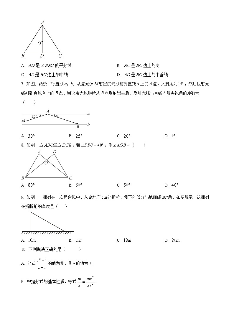 河北省廊坊市广阳区2024-2025学年八年级上学期1月期末数学试题（原卷版+解析版）第2页