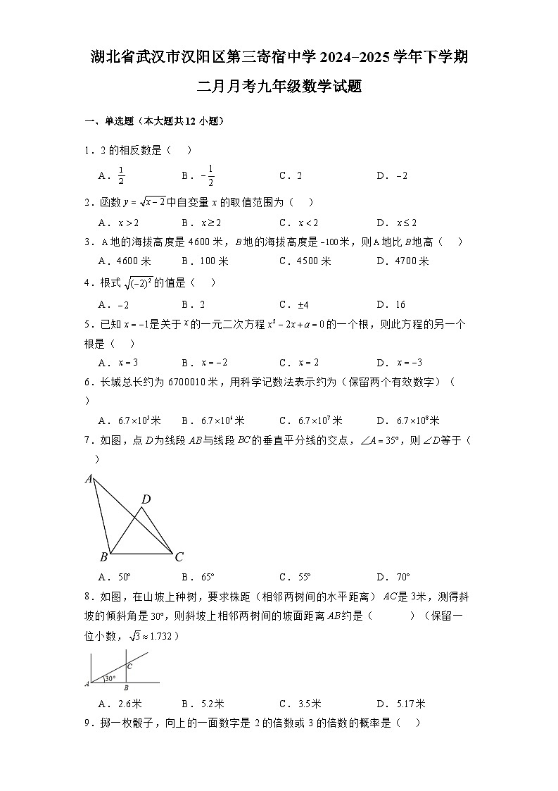 湖北省武汉市汉阳区第三寄宿中学2024-2025学年下学期二月月考九年级 数学试题（含解析）第1页