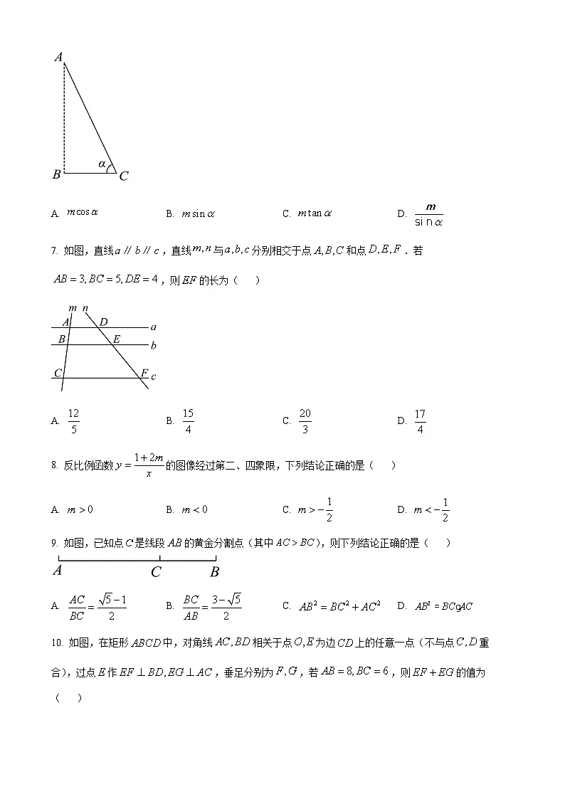 辽宁省丹东市第十四中学等协作校2024-2025学年九年级下学期开学数学试题（原卷版+解析版）第2页