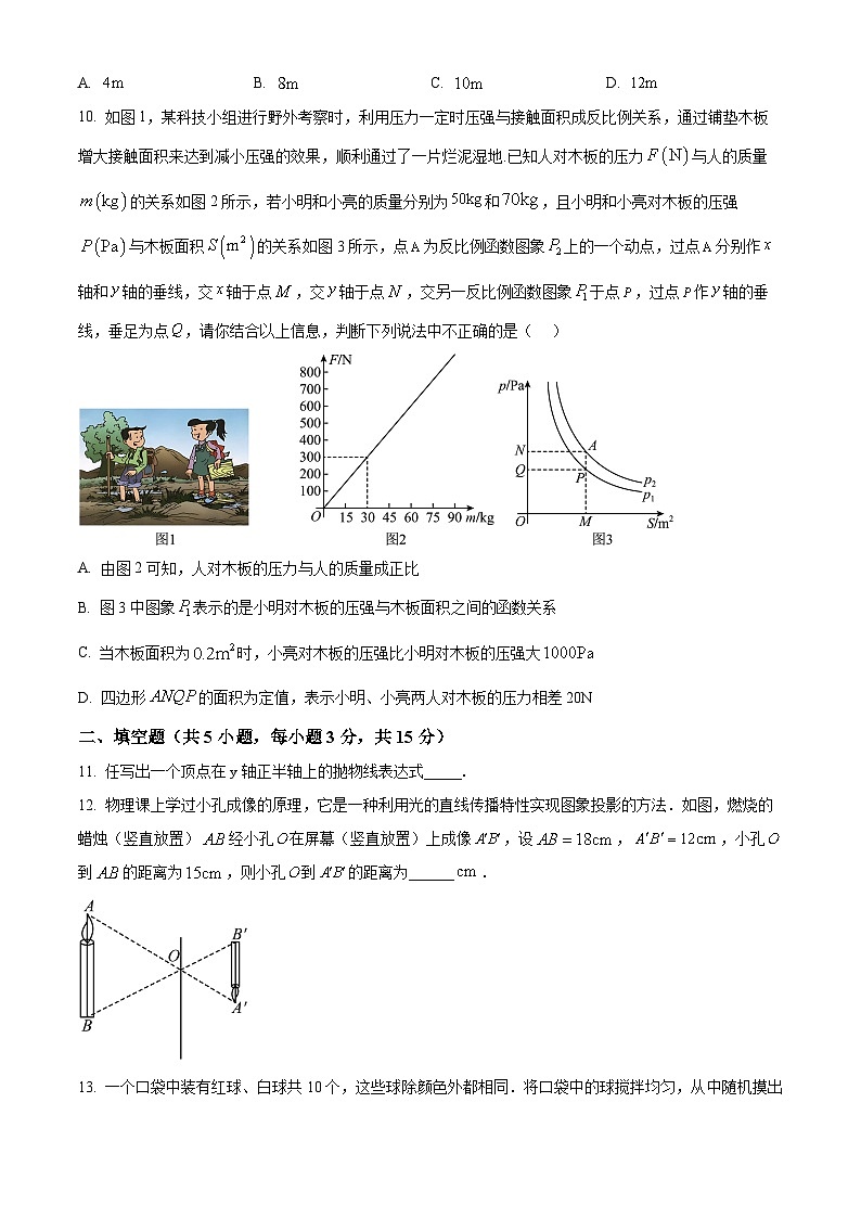河南省郑州市郑东新区2024-2025学年数学九年级上学期数学期末试卷（原卷版+解析版）第3页