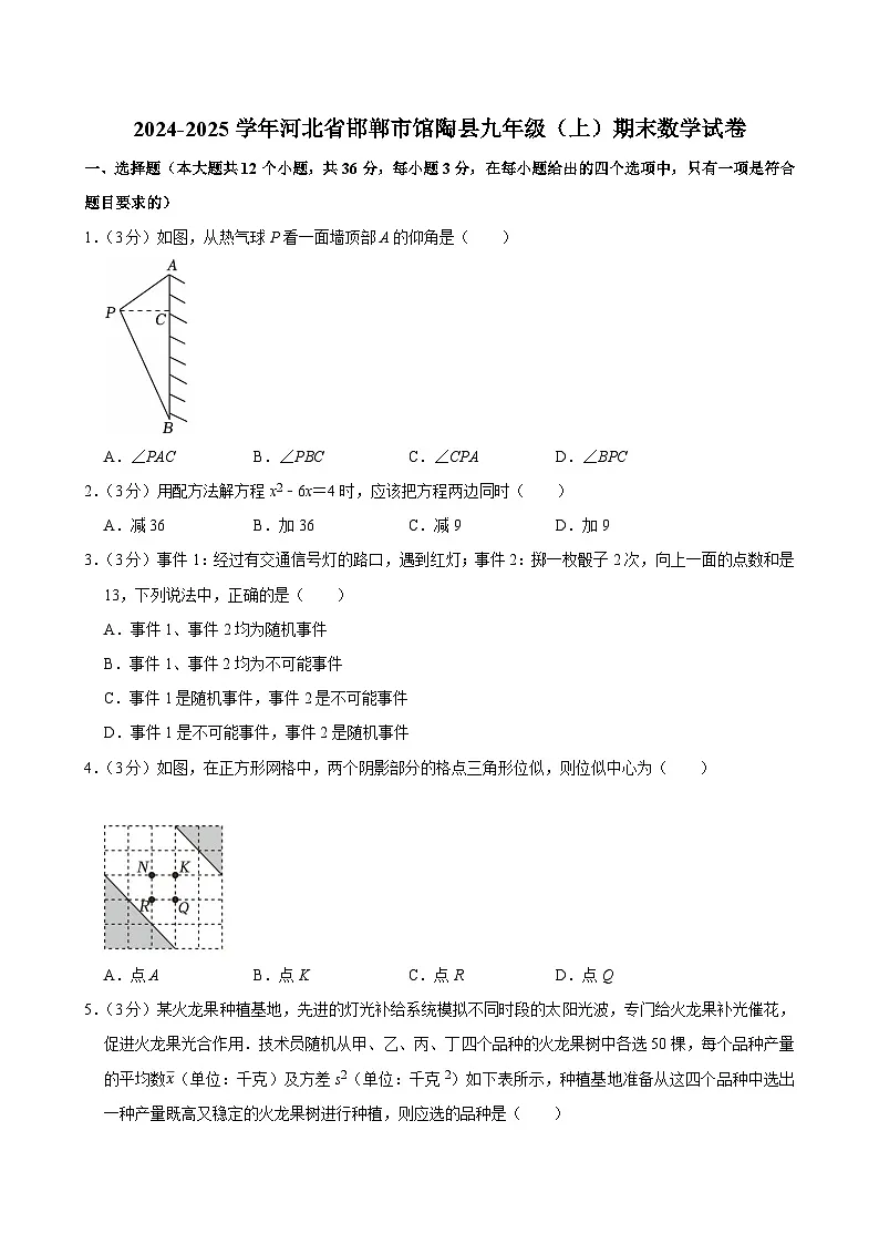 2024-2025学年河北省邯郸市馆陶县九年级（上）期末数学试卷第1页
