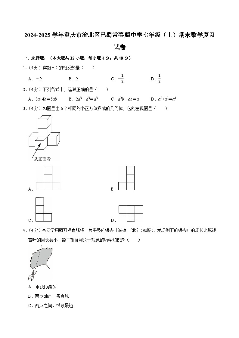2024-2025学年重庆市渝北区巴蜀常春藤中学七年级（上）期末数学复习试卷（含详解）第1页