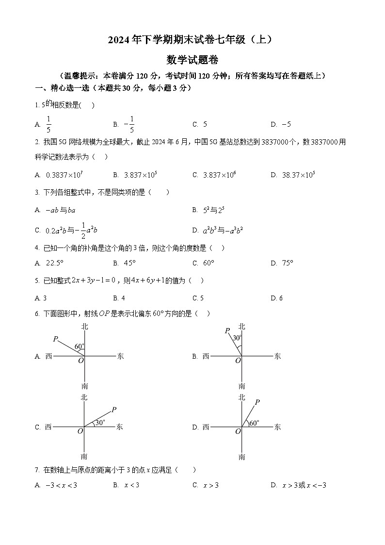 浙江省金华市东阳市2024-2025学年七年级上学期1月期末数学试题（原卷版+解析版）第1页