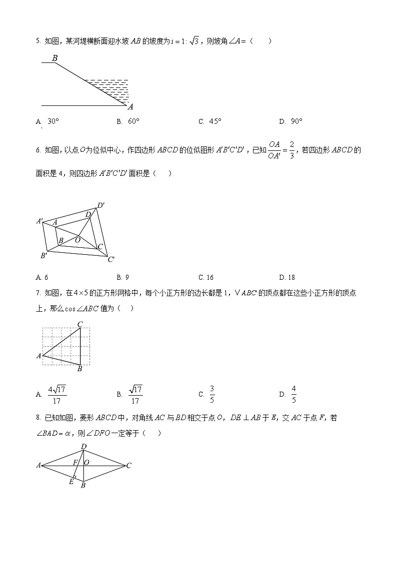 广东省茂名市电白区2024-2025学年上学期期末质量监测九年级数学试卷（原卷版+解析版）第2页