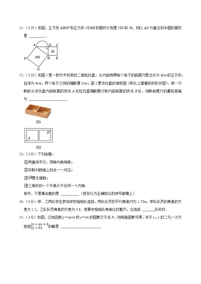 2024-2025学年山东省枣庄市峄城区八年级（上）期末数学试卷（含详解）第3页