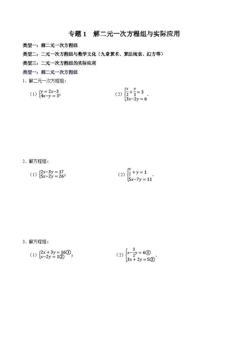 专题1  解二元一次方程组及其实际应用第1页