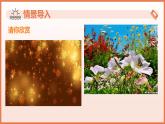 9.2軸對稱（第4課時+軸對稱圖形）2025學(xué)年七年級數(shù)學(xué)下冊（蘇科版2024）課件