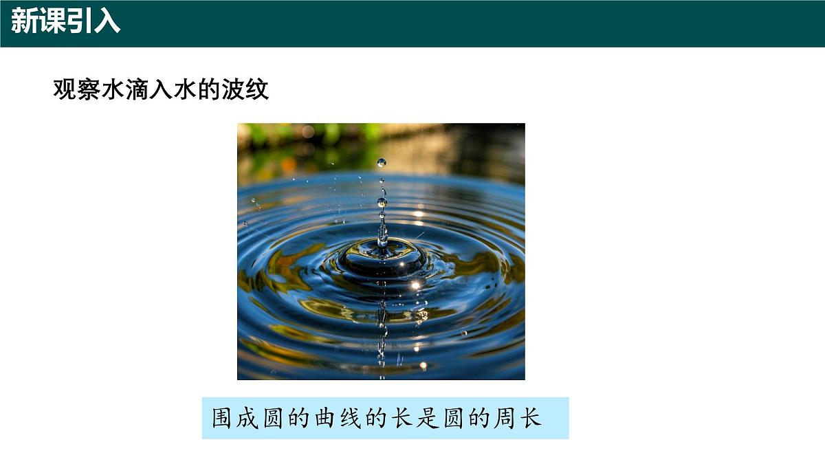 6.1.1圆的周长（第二课时+圆的周长）2025学年六年级数学下册（沪教版2024）课件第3页