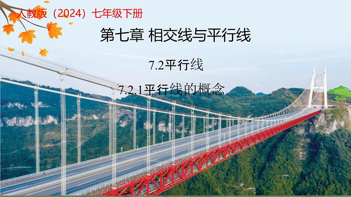 7.2.1平行线的概念 课件 人教版数学七年级下册第1页