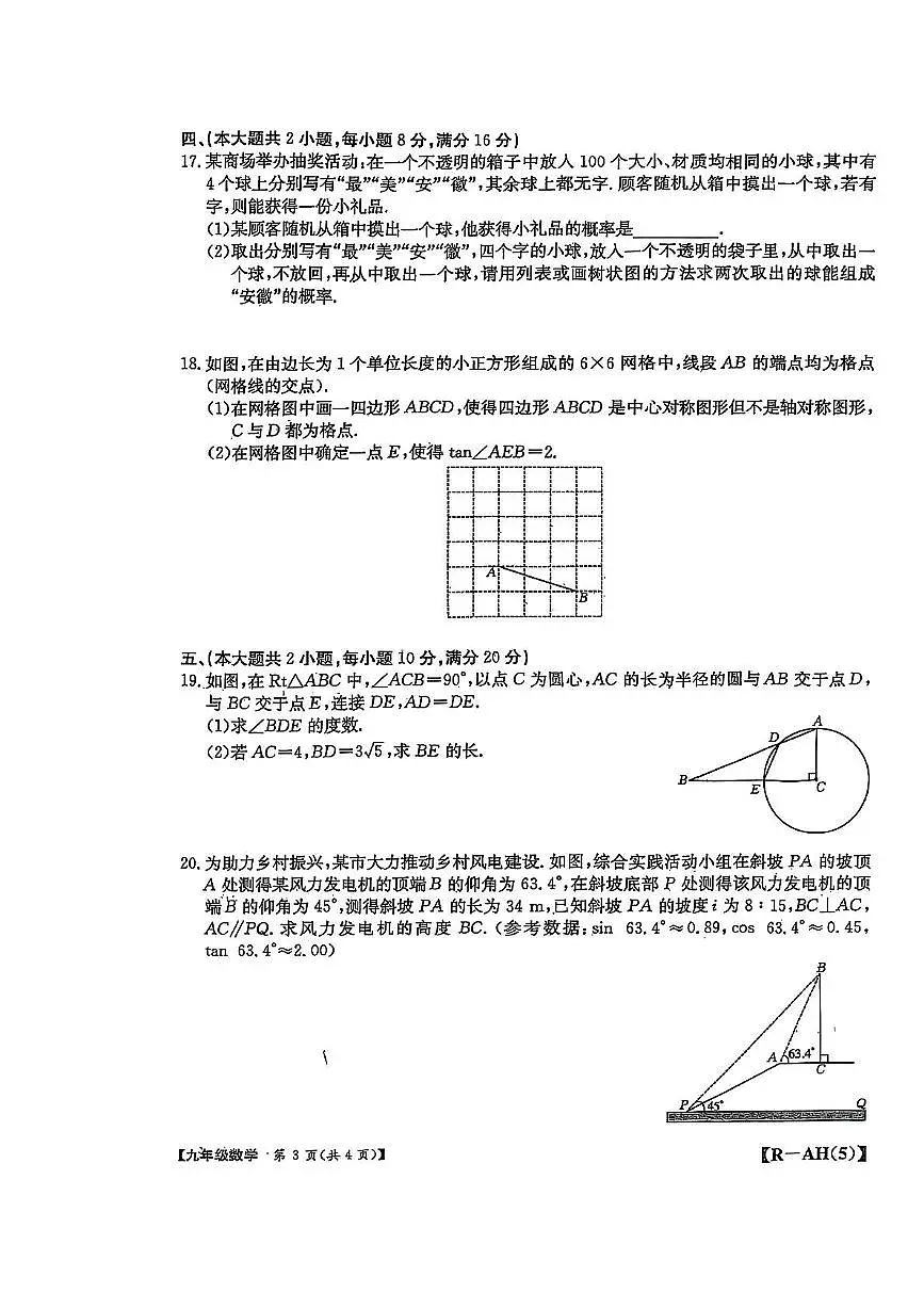 安徽巢湖2025年九年级中考数学一模试题（含答案）第3页