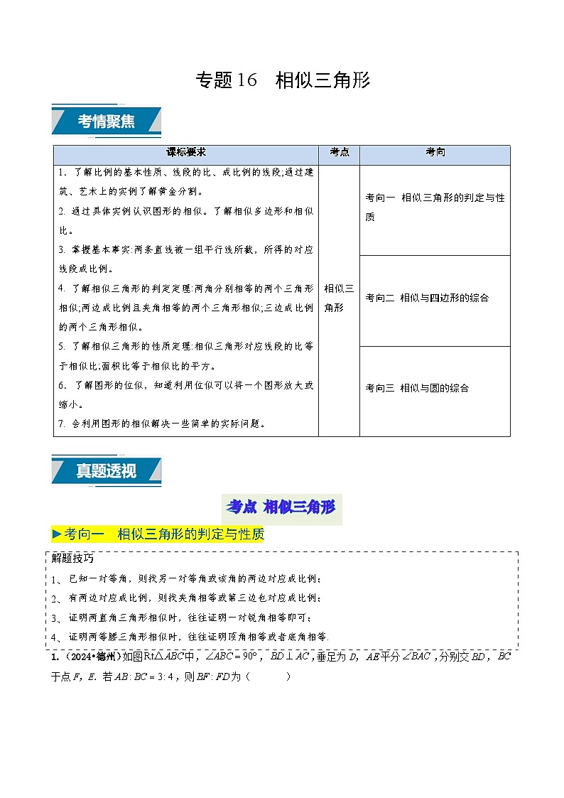 专题16 相似三角形（原卷版）第1页