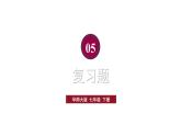 初中數(shù)學(xué)新華東師大版七年級(jí)下冊(cè)5復(fù)習(xí)題教學(xué)課件2025春
