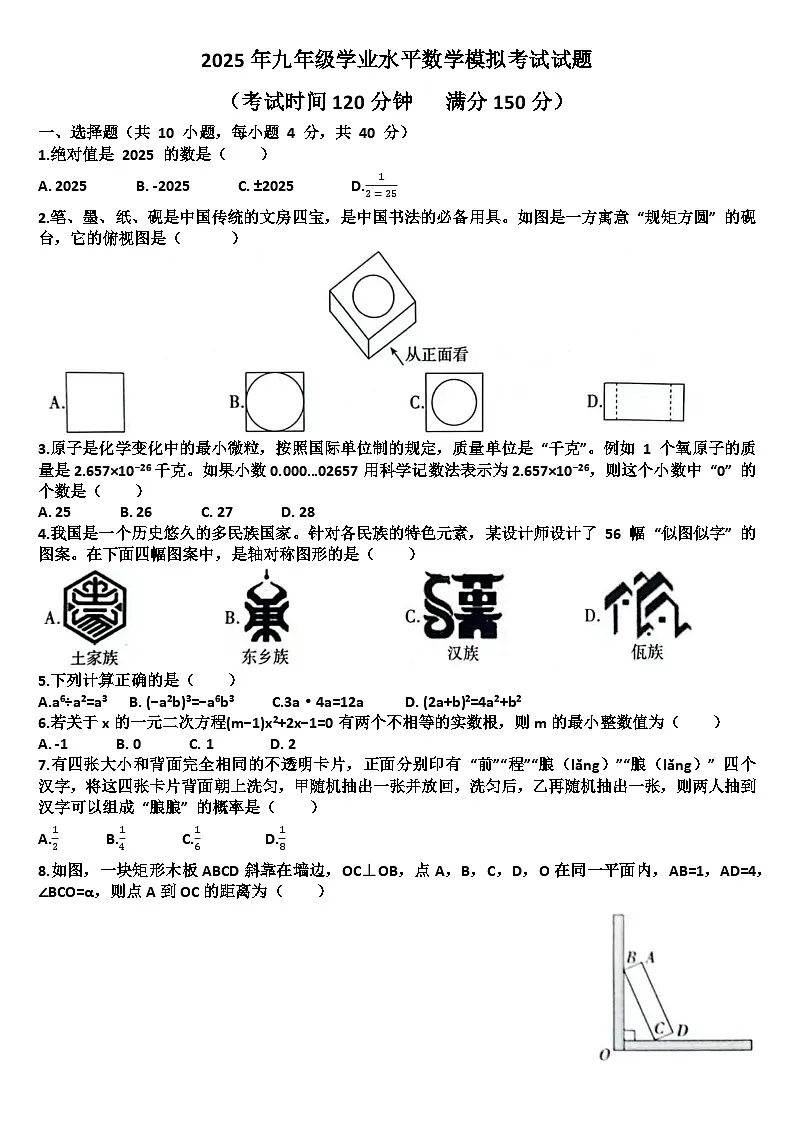 2025年九年级下学期数学模拟考试试题以及答案(适用北师大版)第1页