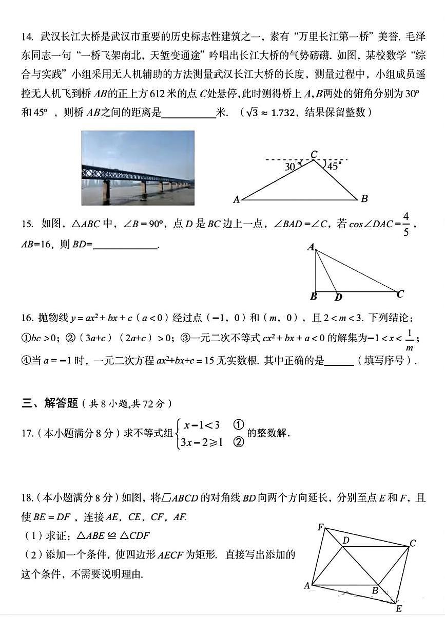 湖北武汉东西湖区 2024-2025学年九年级下学期3月月考数学试题+答案第3页