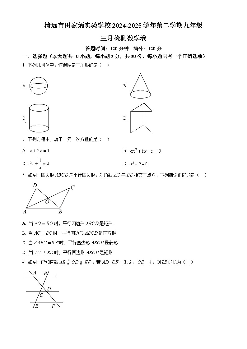 广东省 清远市田家炳实验学校2024-2025学年九年级下学期3月月考数学试题（原卷版+解析版）第1页