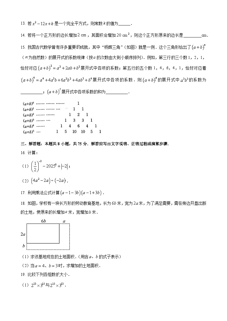 河南省周口市2024-2025学年七年级下学期数学月考试卷 （原卷版+解析版）第3页