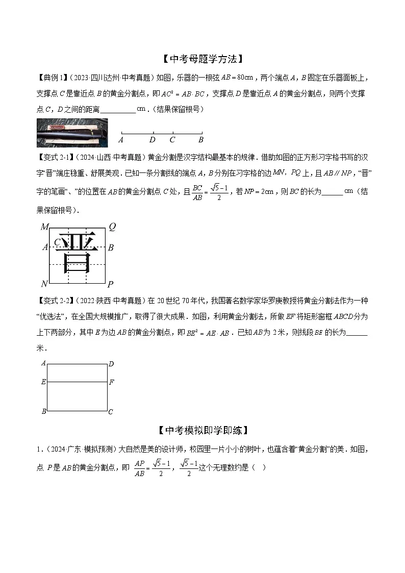 相似三角形的常考题型（9大热考题型）（原卷版）-中考数学二轮专题练习第2页