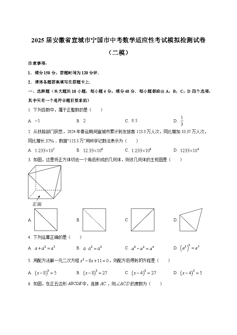 2025届安徽省宣城市宁国市中考数学适应性考试模拟检测试卷（二模）附答案第1页