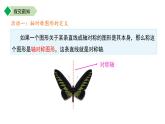 9.2.4 軸對稱圖形 課件 數(shù)學(xué)蘇科版（2024）七年級下冊