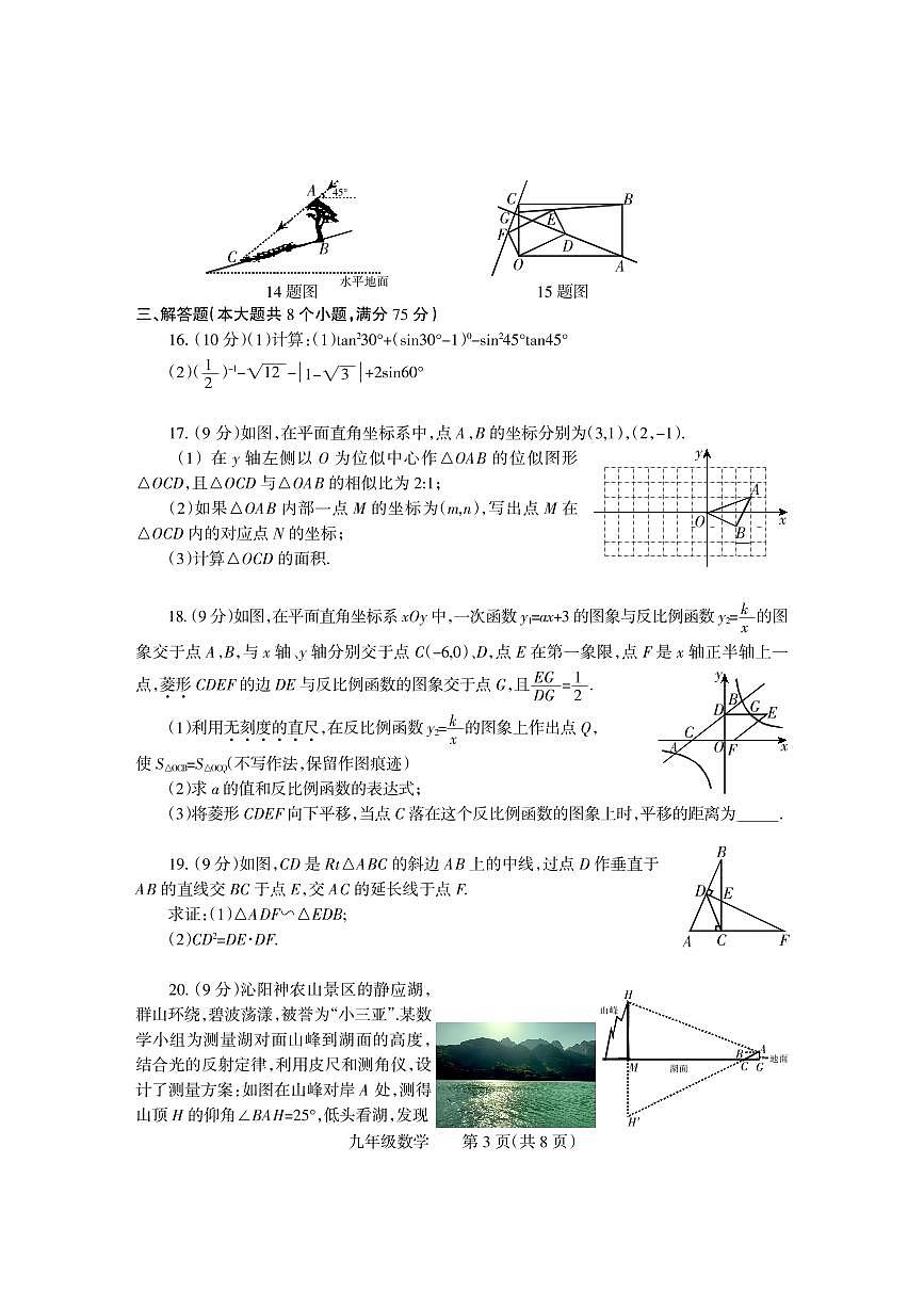 2025年河南省焦作市沁阳市九年级中考二模数学试卷及答案第3页