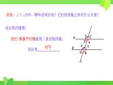 10.3 平行線的性質(zhì) 課件 2024-2025學(xué)年滬科版七年級數(shù)學(xué)下冊