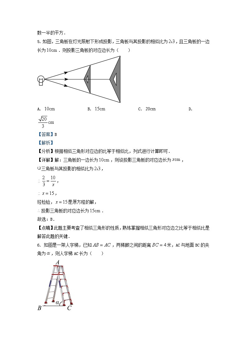 2022-2023学年吉林省长春市南关区九年级上学期数学期末试题及答案第3页