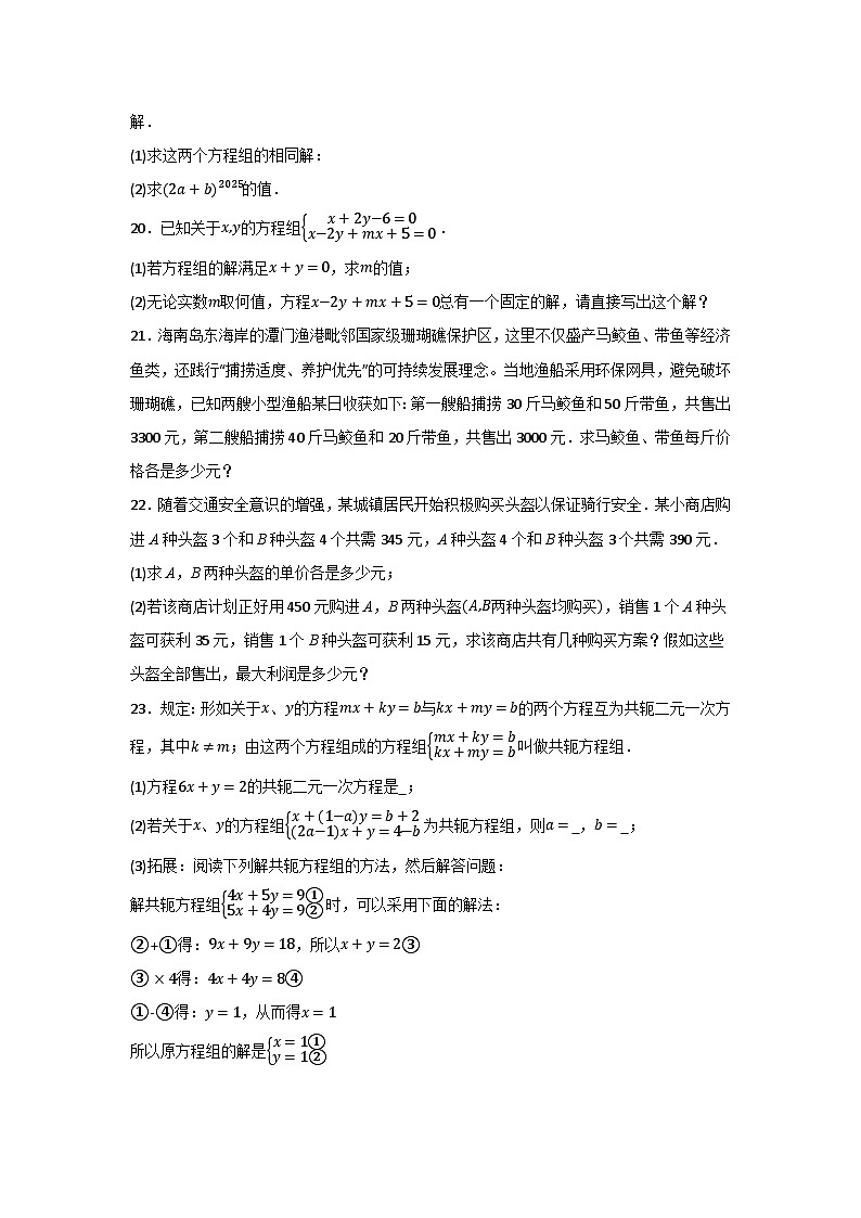 第10章二元一次方程组 同步单元达标测试题含答案 2024-2025学年人教版七年级数学下册第3页