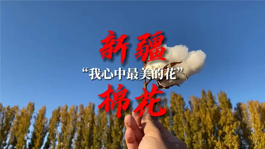 10.1 二元一次方程组的概念课件2024-2025学年 人教版数学七年级下册第2页