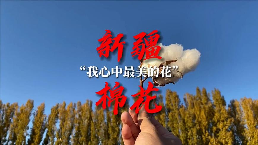 10.1  二元一次方程组的概念课件2024-2025学年  人教版数学七年级下册第2页