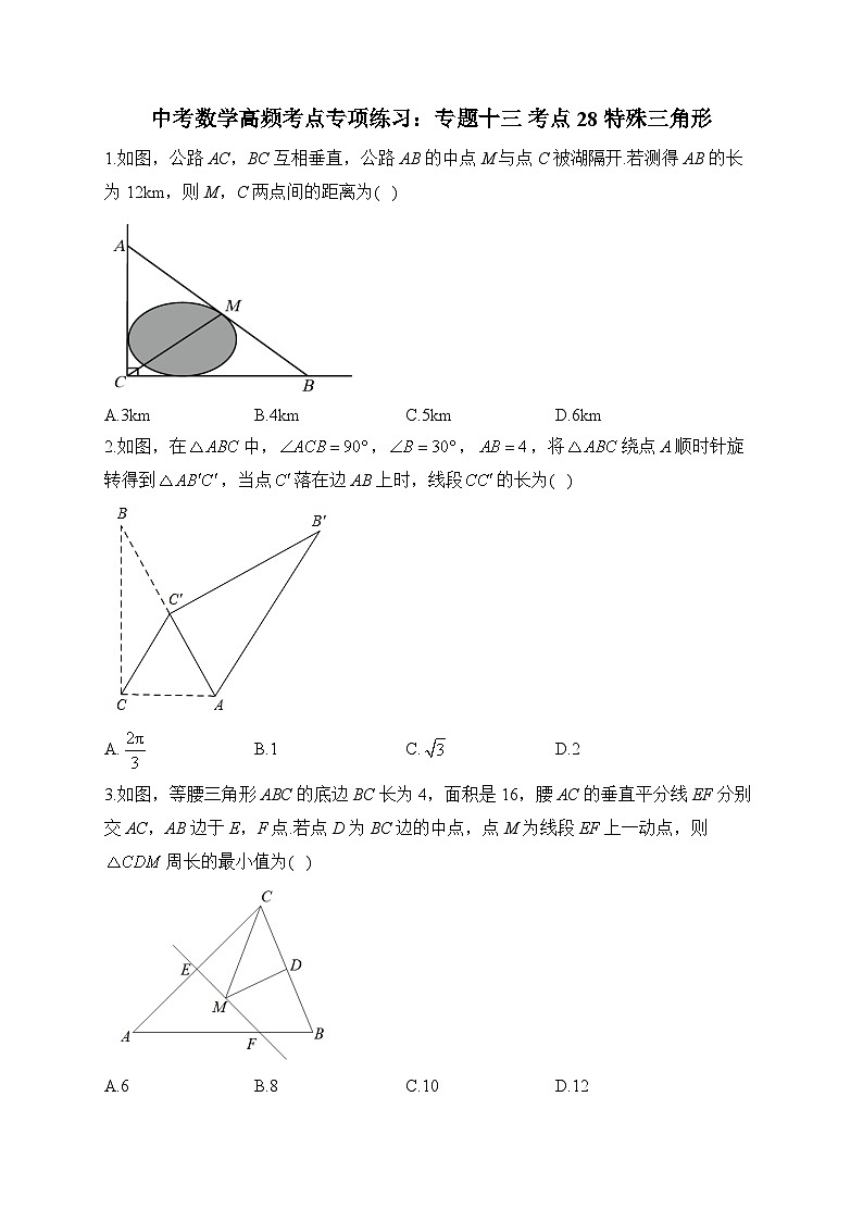 中考数学高频考点专项练习：专题13 考点28 特殊三角形 (1)及答案第1页