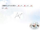 北师大版七年级数学下册第四章2全等三角形课件