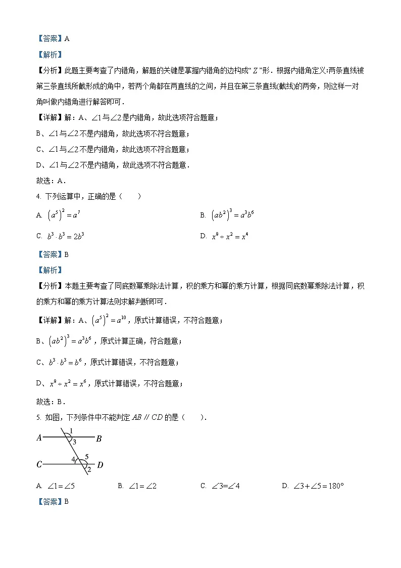 广东省普宁市第二中学2024-2025学年七年级下学期第一次素质测评 数学试题（含解析）第2页