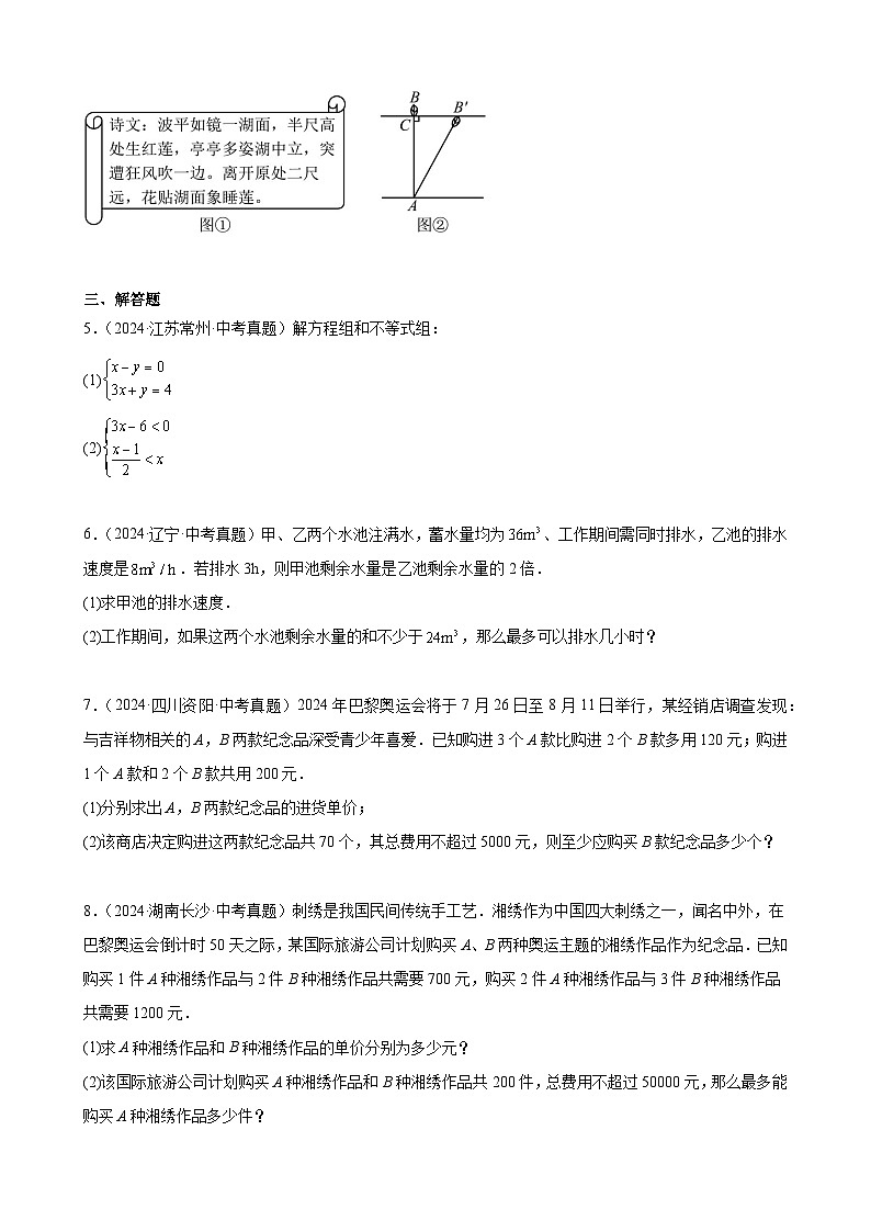 备战2025年中考数学真题分类汇编（全国通用）专题05一次方程（组）及其应用（11题）（学生版）第2页