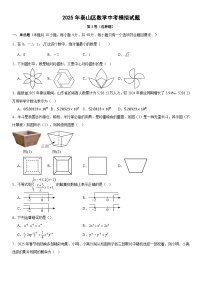 2025年山东省泰安市泰山区中考数学模拟试题（1）