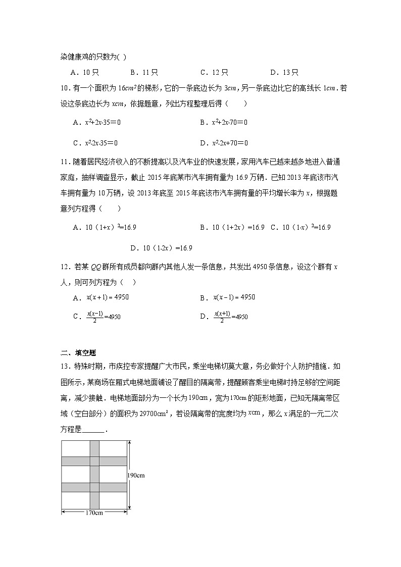 8.6一元二次方程的应用同步练习  鲁教版（五四制）数学八年级下册第3页