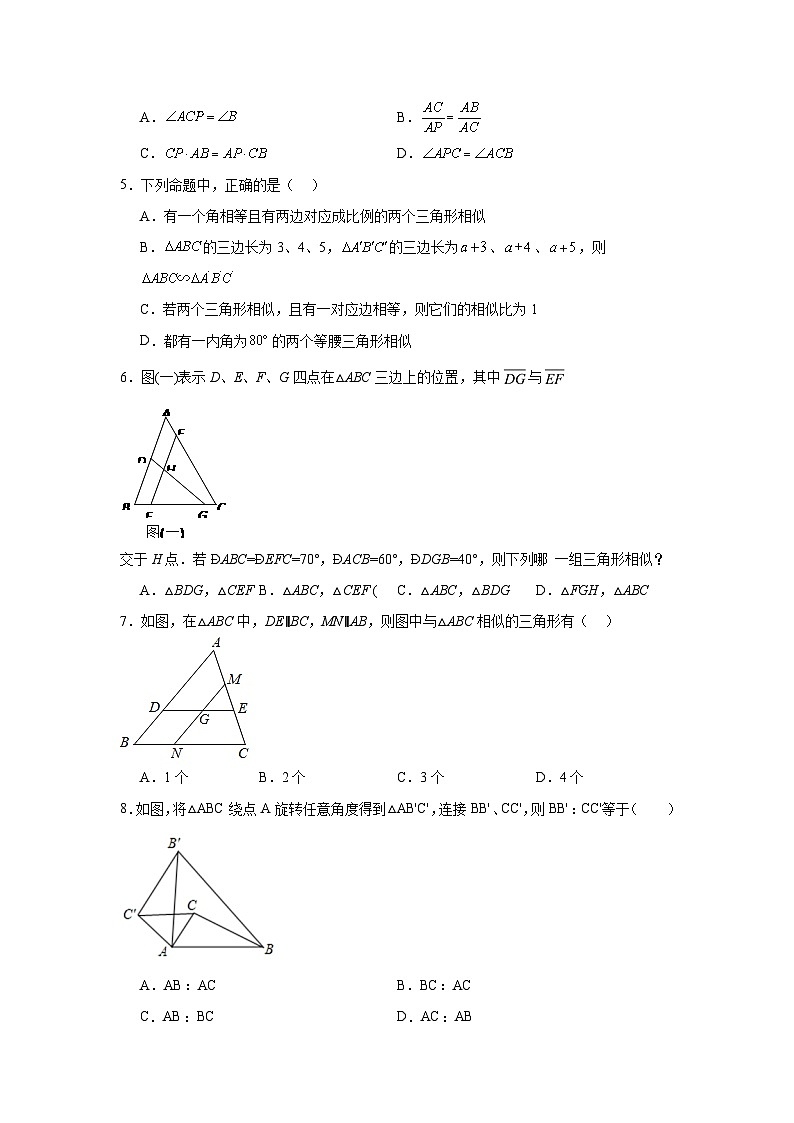 9.4探索三角形相似的条件同步练习  鲁教版（五四制）数学八年级下册第2页