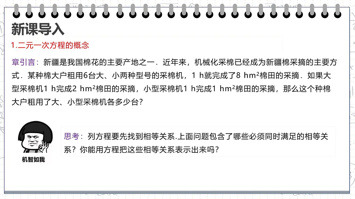 10.1 二元一次方程组的概念 课件-2024-2025学年人教版数学七年级下册第3页