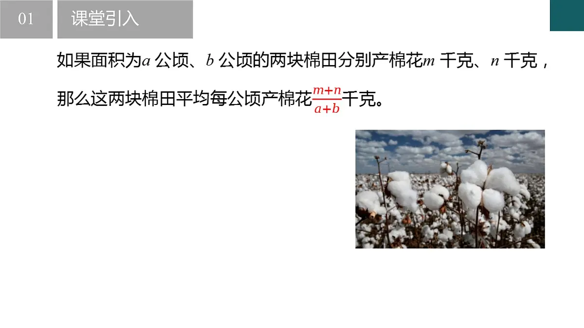 10.1分式（同步课件）2025学年八年级数学下册同步精品课堂（苏科版）第4页