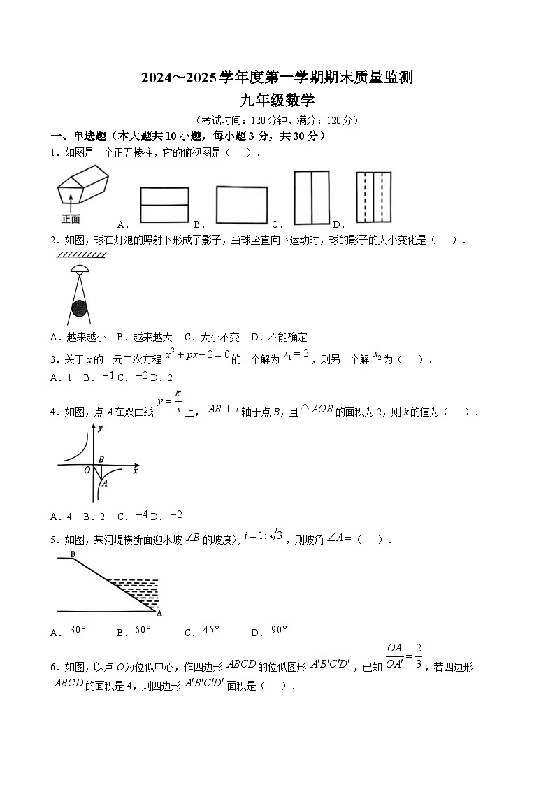 广东省茂名市电白区2025届九年级上学期期末质量监测数学试卷(含答案)第1页