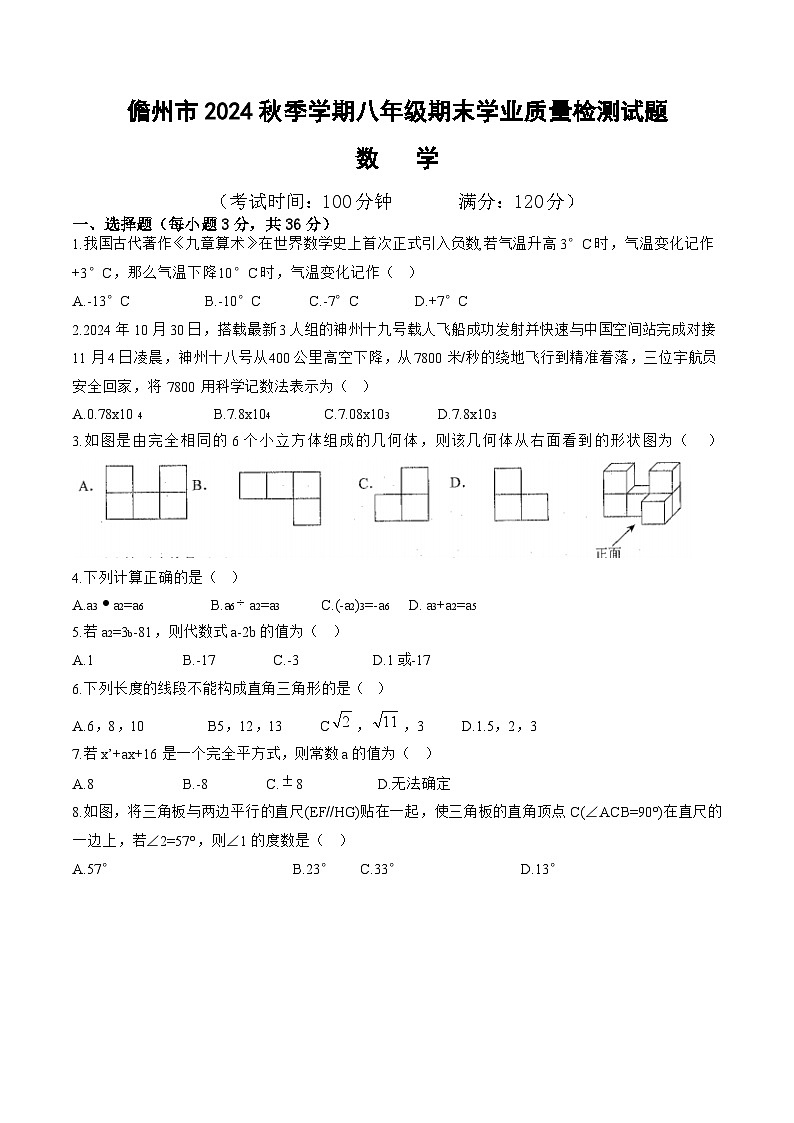 海南省儋州市2024-2025学年八年级上学期期末考试数学试卷(含答案)第1页