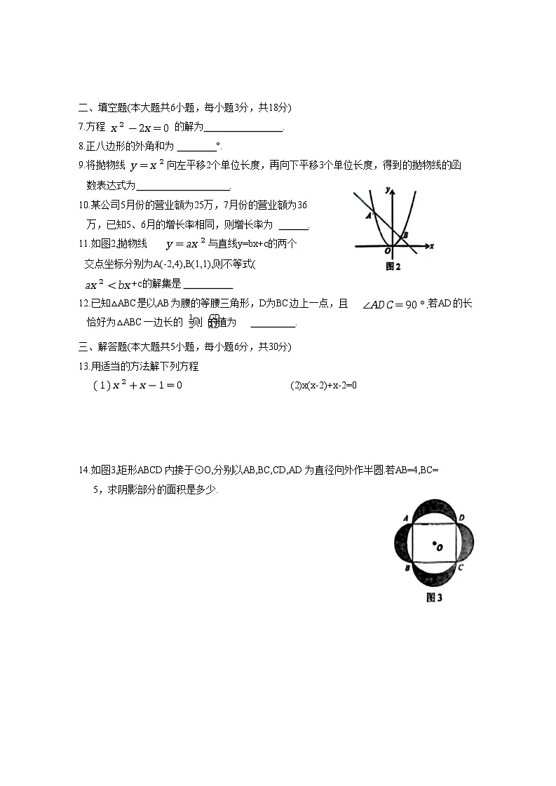 江西省赣州市大余县2025届九年级上学期1月期末考试数学试卷(含答案)第2页