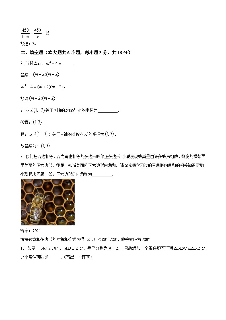 江西省赣州市于都县2023-2024学年八年级上学期期末考试数学试卷(含解析)第3页