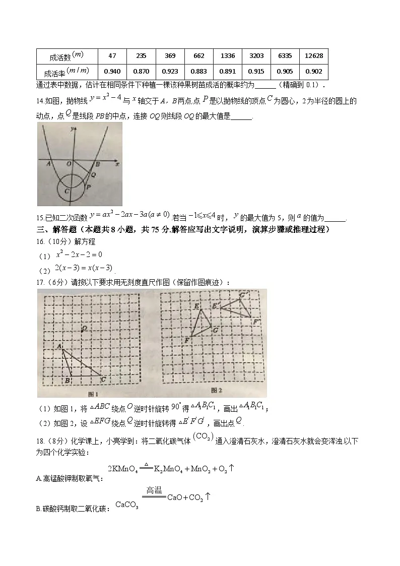 辽宁省营口市2025届九年级上学期1月期末考试数学试卷(含答案)第3页