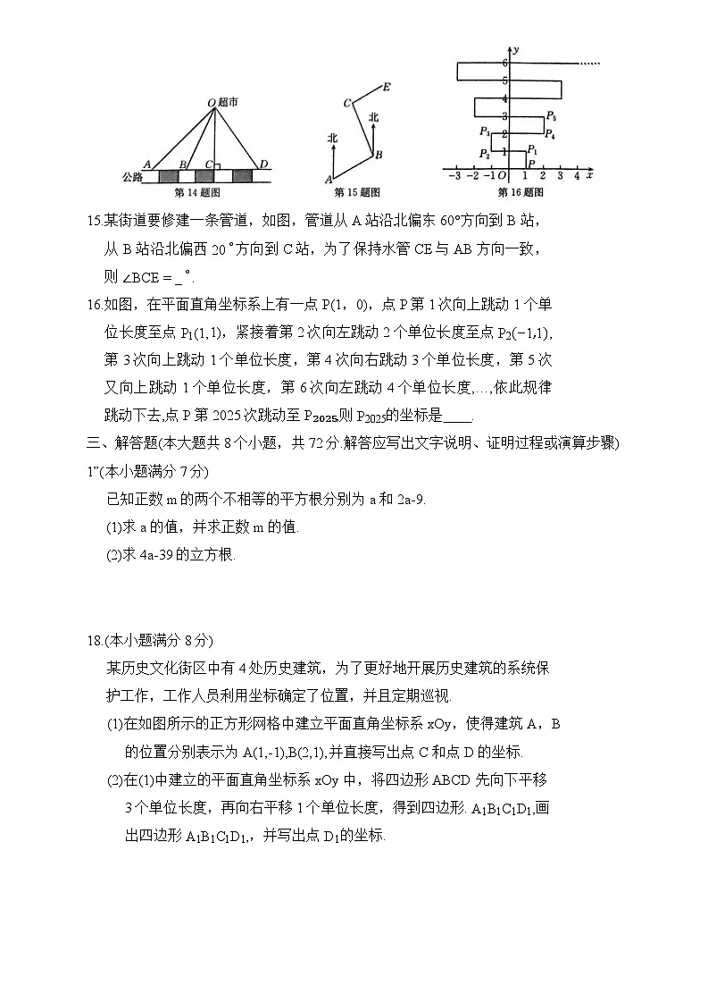 河北省保定市莲池区2024-2025学年期中七下 数学试卷第3页